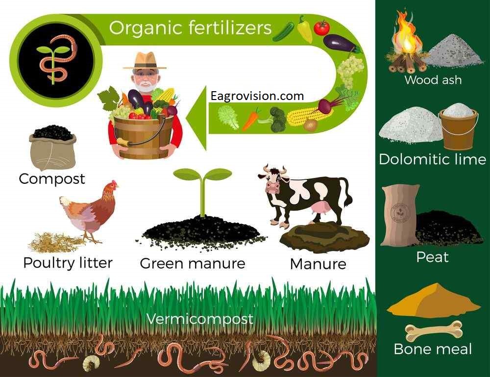 Fertilizer Manure DefinitionGuide Types of fertilizers 2019