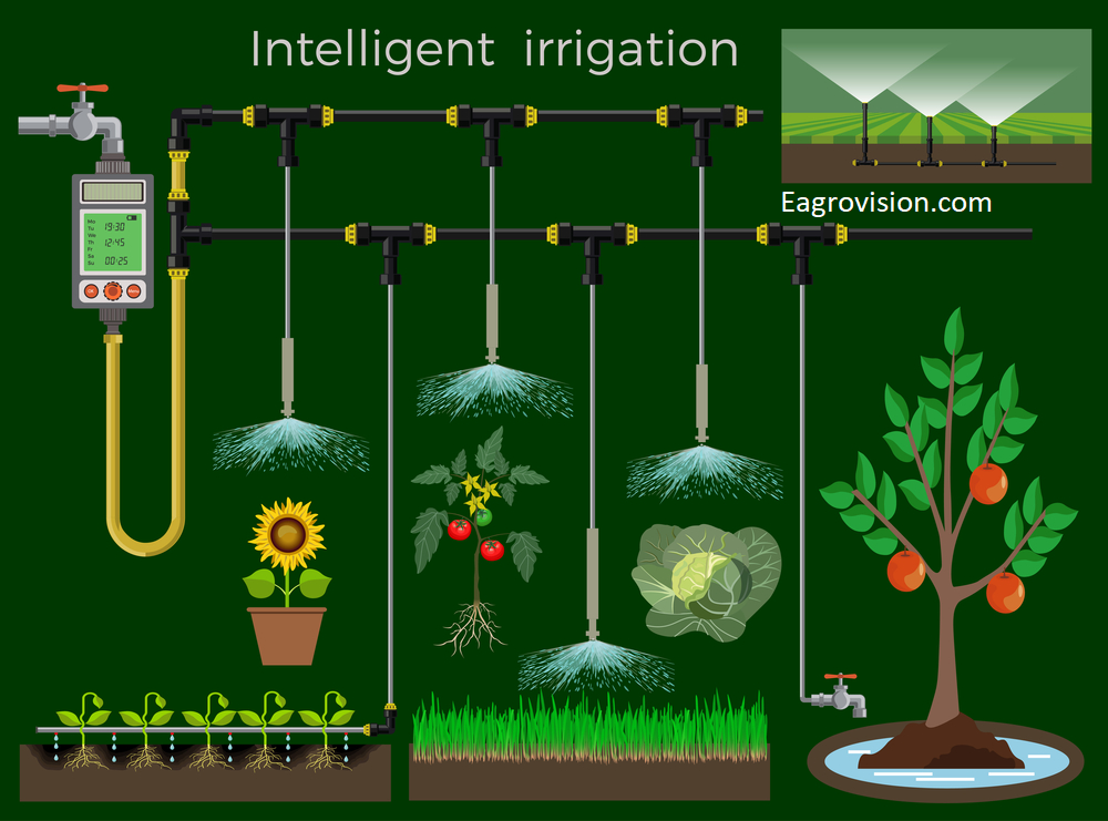 dusk irrigation definition