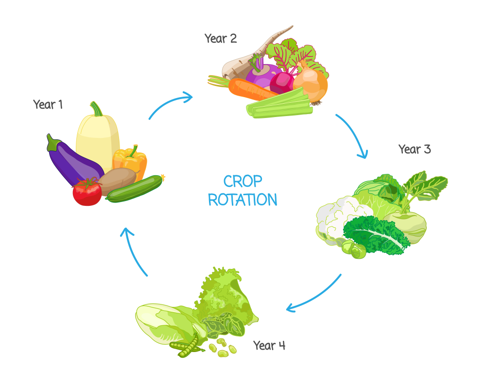 5 Year Crop Rotation Chart