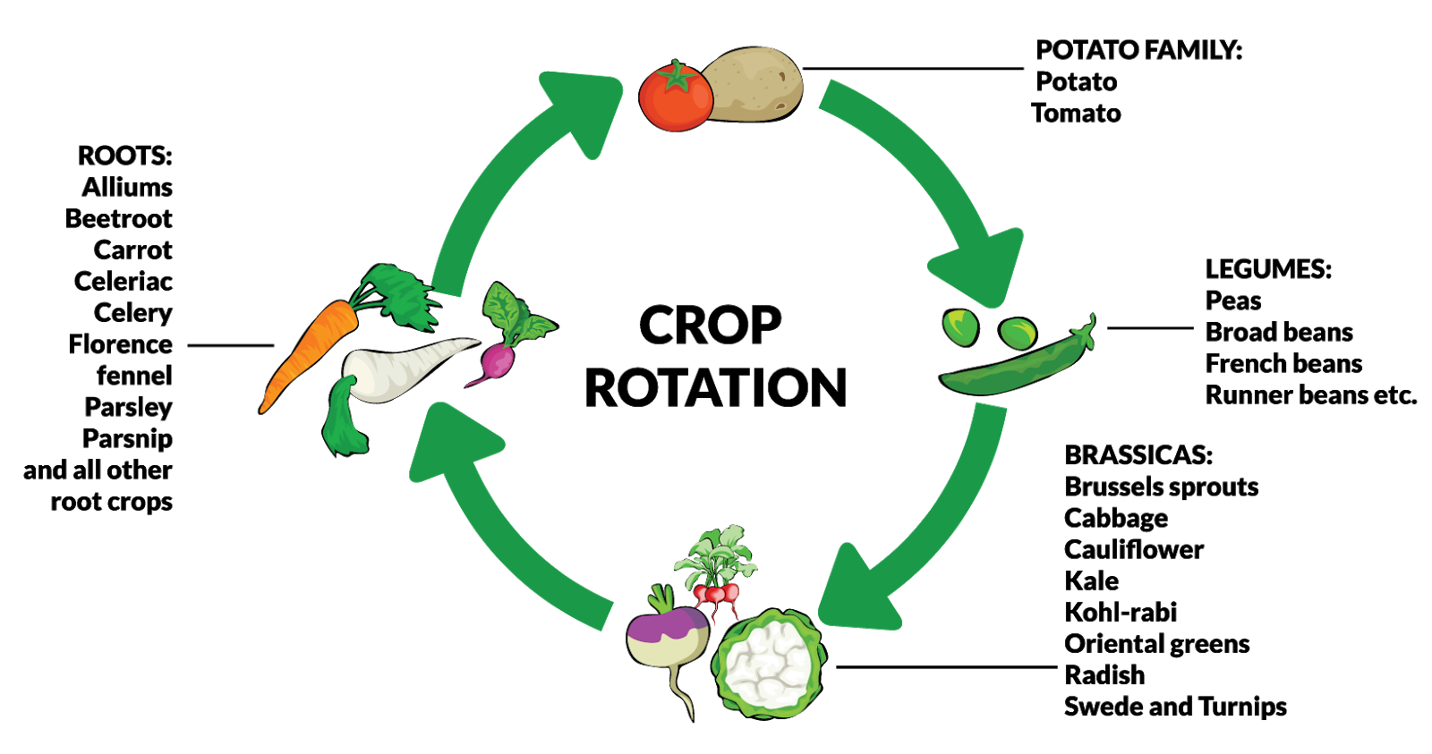 crop-rotation-guide-2023-e-agrovision