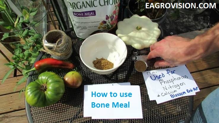 HOW TO USE BONE MEAL