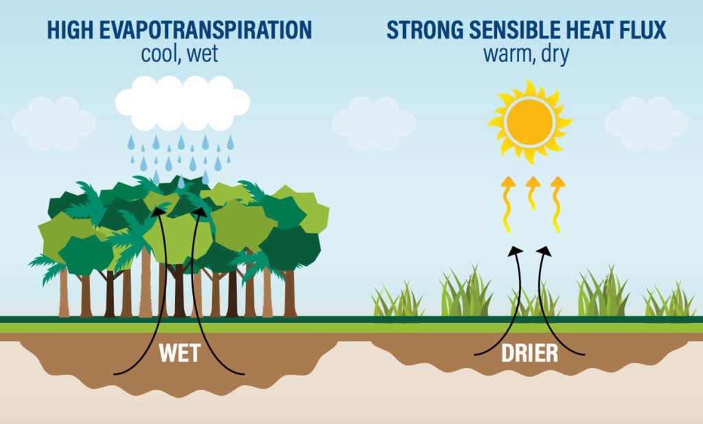 33-mindblowing-facts-about-global-warming-in-2023