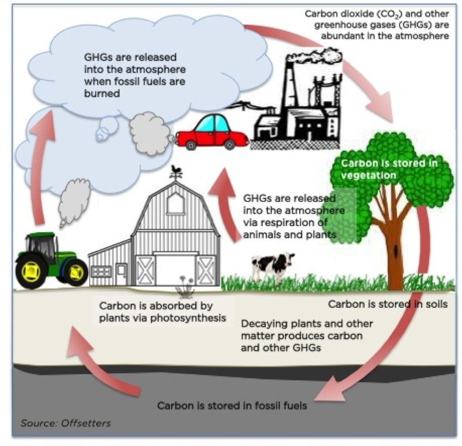 How Does Climate Change Affect The World