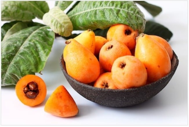 Loquat Fruit