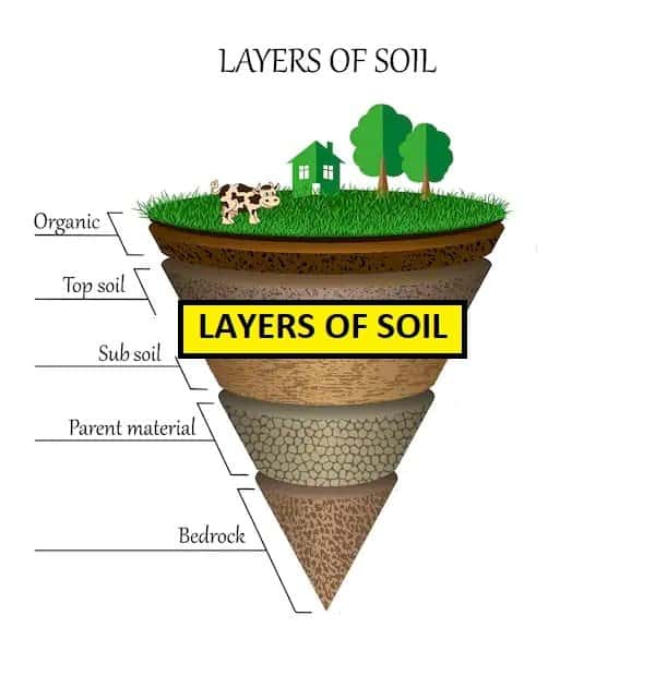 What is Topsoil? Importance and Uses 2020 - E-AGROVISION